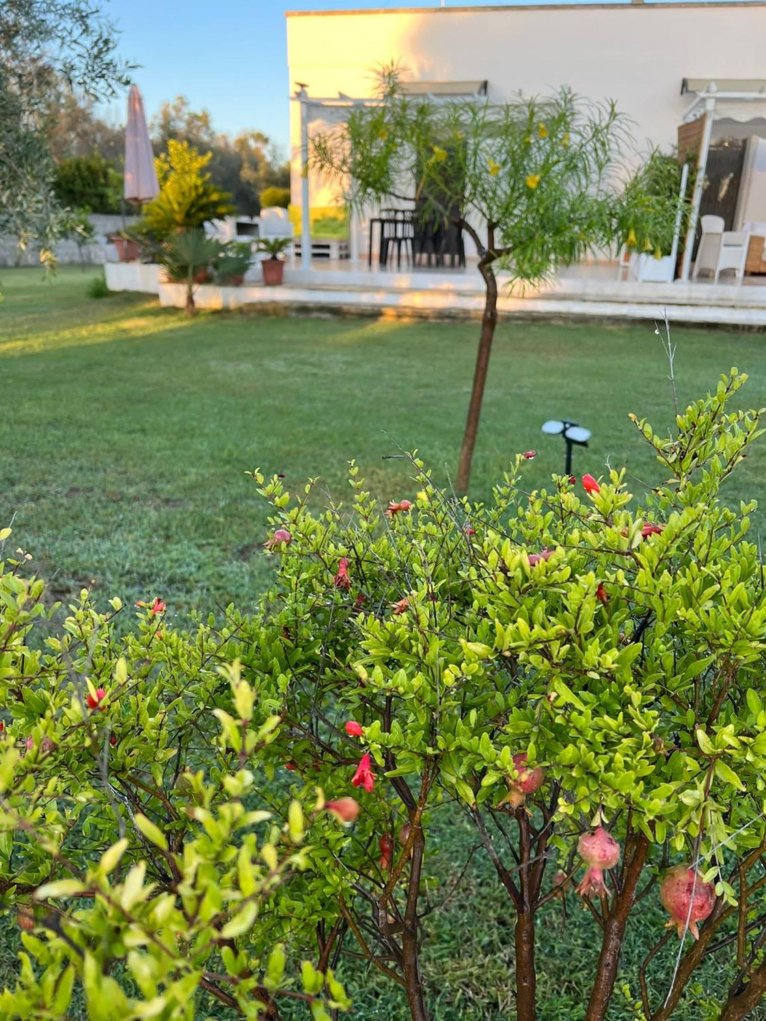 Salento Villa Don Peppino San Foca Exterior photo